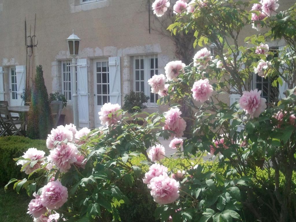 Guest House Le Clos Pasquier Блуа Экстерьер фото